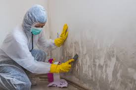 Mold Remediation for Rental Properties in Strasburg, OH